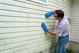 Affordable Siding Repair and Maintenance Services in Palacios, TX